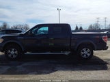 FORD F-150 FX4/HARLEY-DAVIDSON/KING RANCH/LARIAT/PLATINUM/XL/XLT 1FTFW1EV2AKE28127 fotografie