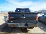 FORD F-150 FX4/HARLEY-DAVIDSON/KING RANCH/LARIAT/PLATINUM/XL/XLT 1FTFW1EV2AKE28127 fotografie