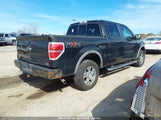 FORD F-150 FX4/HARLEY-DAVIDSON/KING RANCH/LARIAT/PLATINUM/XL/XLT 1FTFW1EV2AKE28127 photo