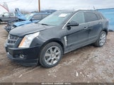 CADILLAC SRX PERFORMANCE COLLECTION 3GYFNBE38CS630415 photo