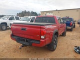 TOYOTA TACOMA TRD OFF ROAD 5TFCZ5AN1GX006840 photo