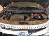 FORD EXPLORER XLT 1FM5K8D81EGB57934 fotografie
