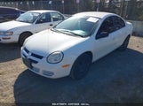 DODGE NEON SXT 1B3ES56C34D601823 photo