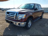 FORD F-150 FX4/HARLEY-DAVIDSON/KING RANCH/LARIAT/PLATINUM/XL/XLT 1FTFW1EV8AFA97966 снимка