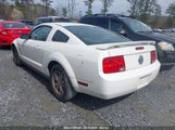 FORD MUSTANG V6 1ZVFT80N265249257 снимка