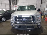 FORD F-150 XLT 1FTEX1CP0HKC62570 снимка