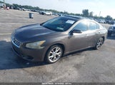 NISSAN MAXIMA 3.5 SV 1N4AA5AP0DC814203 снимка
