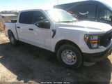 FORD F-150 XL 1FTEW1C57PKE10438 photo