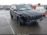 JEEP CHEROKEE TRAILHAWK 1C4PJMBS5GW304062 снимка