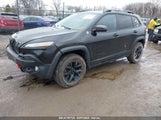 JEEP CHEROKEE TRAILHAWK 1C4PJMBS6GW113069 снимка