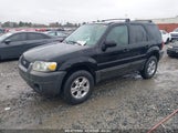 FORD ESCAPE XLT 1FMYU03155KD75479 снимка