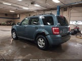 FORD ESCAPE XLT 1FMCU0D74BKB17317 снимка
