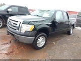 FORD F-150 XL 1FTEX1EM1EKE59780 снимка