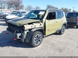 JEEP RENEGADE TRAILHAWK ZACCJBCT6FPC11721 снимка