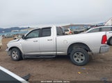 DODGE RAM 1500 SLT/SPORT/TRX 1D7RV1GP9AS234358 fotografie