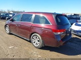 HONDA ODYSSEY EX-L 5FNRL5H65EB019897 снимка