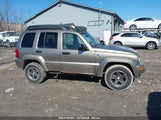 JEEP LIBERTY RENEGADE 1J4GK38K33W701515 photo
