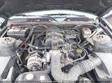 FORD MUSTANG V6 1ZVFT80N365207776 снимка