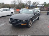 FORD MUSTANG V6 1ZVFT80N365207776 снимка
