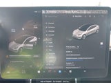 Miniaturka zdjęcia 7