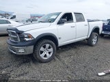 DODGE RAM 1500 SLT/SPORT/TRX 1D7RV1CT1AS261363 fotografie
