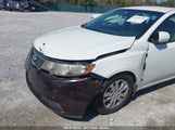 KIA FORTE LX KNAFT4A22D5654612 fotografie