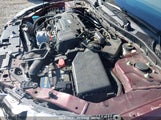 HONDA ACCORD LX 1HGCR2F35HA219995 снимка