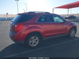 CHEVROLET EQUINOX 1LT 2GNALDEK9D6300718 снимка