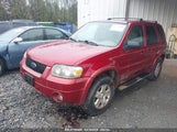 FORD ESCAPE LIMITED 1FMYU04196KA06866 снимка