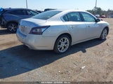 NISSAN MAXIMA 3.5 S/3.5 SV 1N4AA5AP1EC481253 снимка