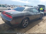 Dodge Challenger Rallye Redline 2C3CDYAG9EH176967 снимка