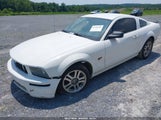 FORD MUSTANG GT 1ZVFT82H065159239 снимка