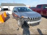JEEP CHEROKEE SPORT 1C4PJMAB6GW327013 fotografie
