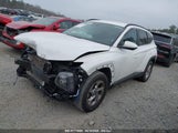 HYUNDAI TUCSON SEL 5NMJBCDE3RH305723 снимка