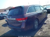 HONDA ODYSSEY EX-L 5FNRL5H69EB098054 снимка