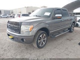 FORD F-150 PLATINUM 1FTFW1CFXBFC48495 снимка