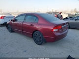 HONDA CIVIC LX 2HGFA1F54BH520802 снимка