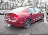 HONDA CIVIC LX 1HGFA16557L054291 снимка