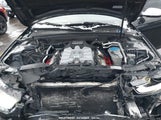 Audi S4 3.0T Premium Plus WAUBGAFLXDA037906 снимка
