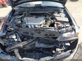 ACURA TSX JH4CL95896C023337 снимка