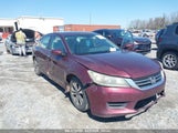 HONDA ACCORD LX 1HGCR2F3XEA029251 снимка