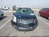 CADILLAC SRX LUXURY COLLECTION 3GYFNCE36DS506117 снимка