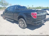 FORD F-150 FX2 SPORT/HARLEY-DAVIDSON/KING RANCH/LARIAT/PLATINUM/XL/XLT 1FTFW1CV7AKE52944 fotografie