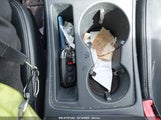 AUDI S4 3.0T PREMIUM PLUS WAUKGAFL4DA164439 снимка