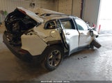 JEEP CHEROKEE TRAILHAWK 4X4 1C4PJMBX1KD200300 снимка