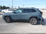 JEEP CHEROKEE 1C4PJMBS5EW147579 photo