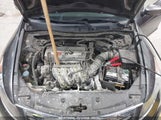 HONDA ACCORD 2.4 EX-L 1HGCP2F87BA000707 снимка