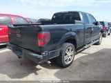 FORD F-150 STX 1FTEX1CM2EKD58069 снимка
