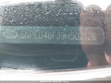 HYUNDAI SONATA SE V6 5NPEU46F39H502126 снимка