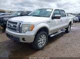FORD F-150 FX4/HARLEY-DAVIDSON/KING RANCH/LARIAT/PLATINUM/XL/XLT 1FTFW1EV8AKB05720 photo